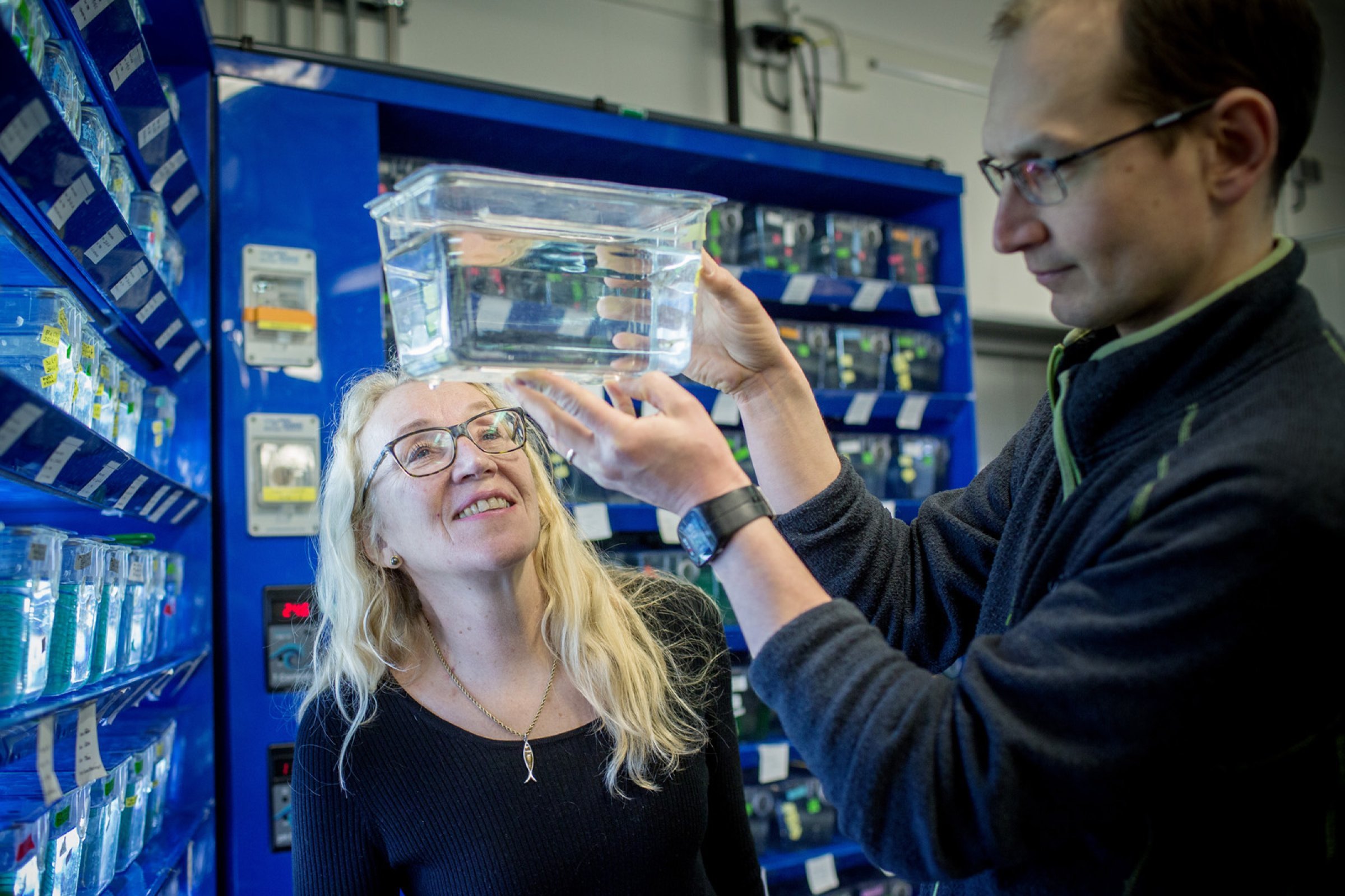 Fagdirektør Brit Hjeltnes besøkte i februar blant annet Heikki Savolianen, overingeniør ved Biologisk institutt, og hans guppyer på Marineholmen Forskningspark. Foto: Eivind Senneset.