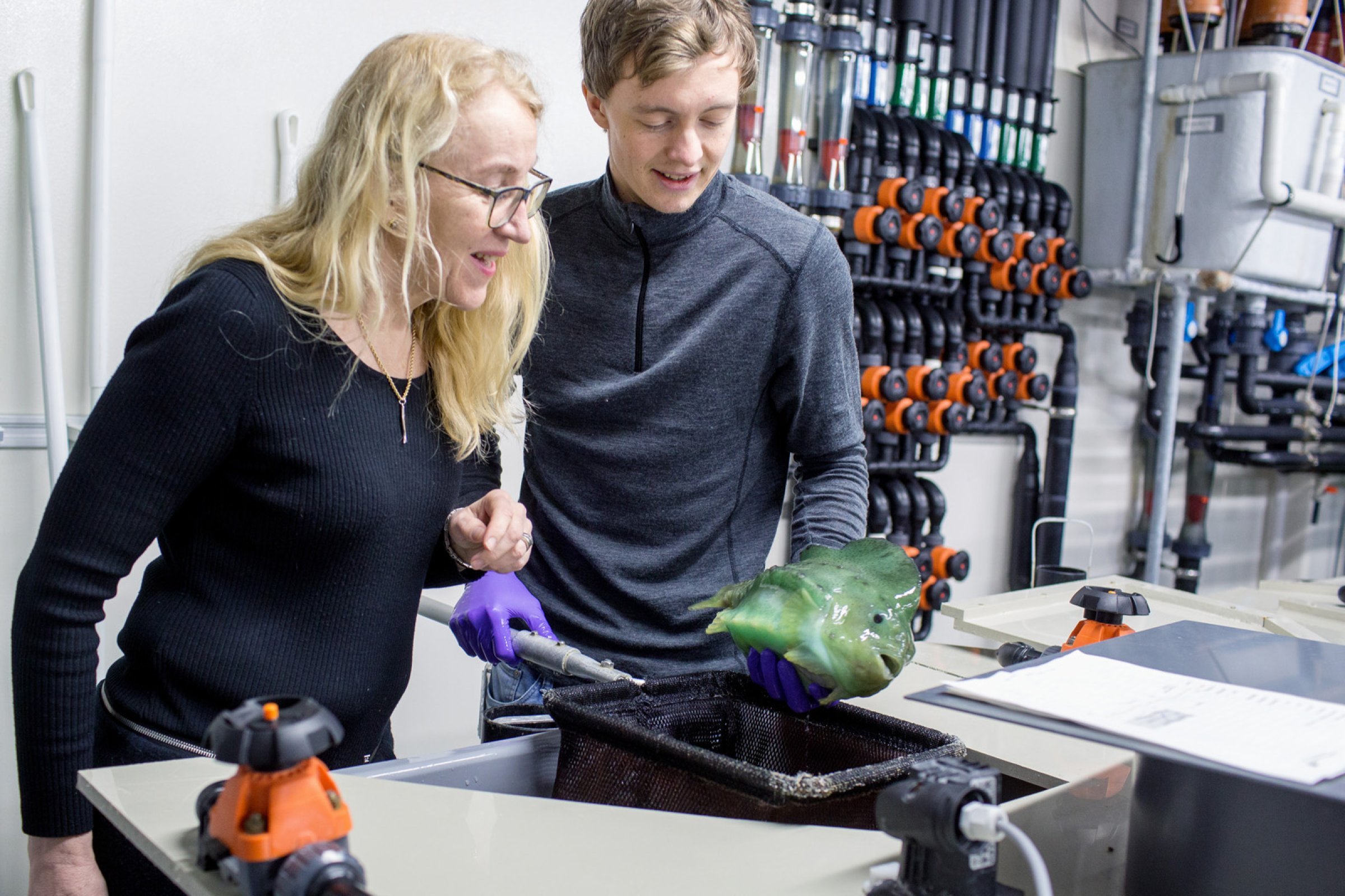 Fagdirektør Brit Hjeltnes besøkte Industrilaboratoriet og studerte rensefisken rognkjeks. Her med Sindre Grimen, driftsansvarlig biologisk avdeling. Foto: Eivind Senneset.