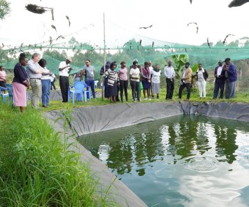 AHA closure Kenya (260)