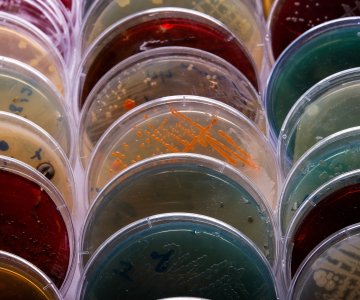 shutterstock_2080058347