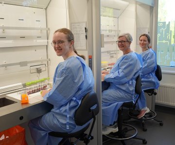 Med stødig hånd legger laboratorieingeniør Ingvild Andrea Liaset Røren, Svanhild Zwaantje Kjørsvik Schipper og Andrea Mandt-Utbøen Holtermann en liten bit av prøvematerialet i et rør med bufferløsning. Snart skal prøven ristes til en homogen væske som kan analyseres videre. 