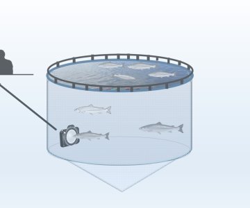 Kameraovervåking_Gis