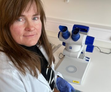 Åse Helen Garseth