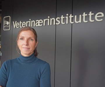 Ny avdelingsdirektør Thea Blystad Klem ved Veterinærinstituttet ønsker å styrke helheten gjennom bedre utnyttelse av data, mer tverrfaglighet og smartere samhandling. Foto: Bryndis Holm, Veterinærinstituttet