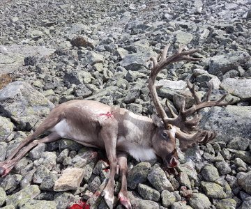 Foto Jan Vidar Akselberg.jpg