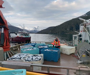 Extra_2_Northern Lights Salmon