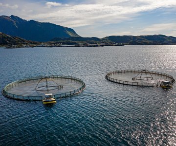 Illustrasjonsfoto: Colourbox