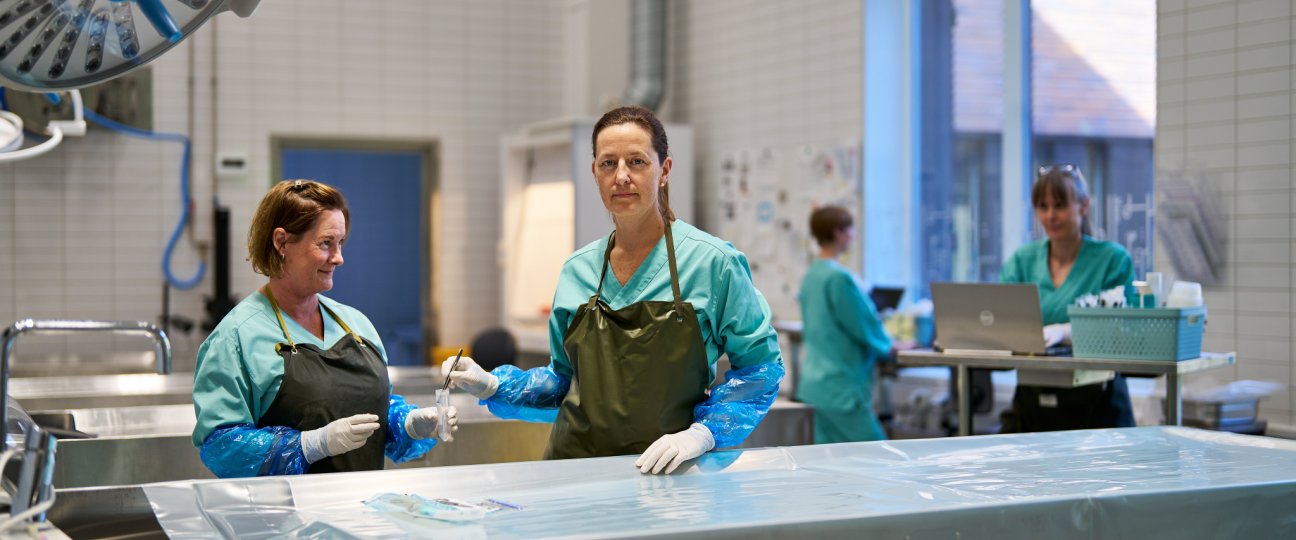 Vi jobber for god helse hos dyr og mennesker