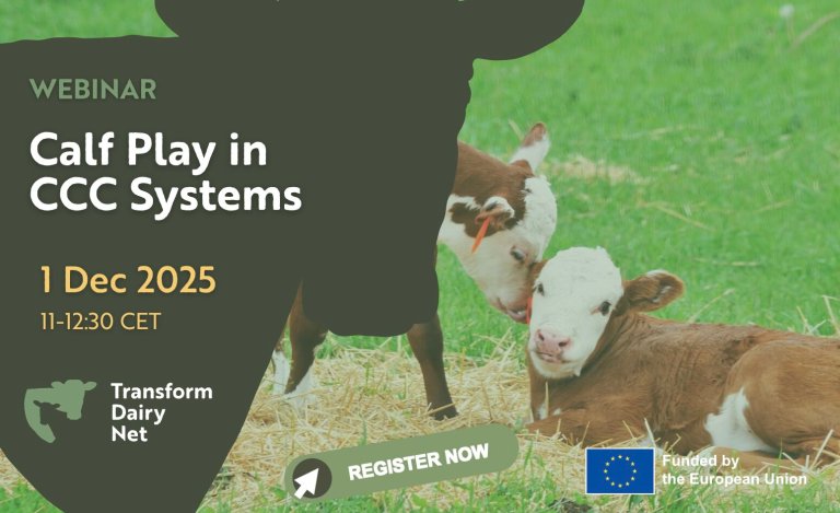 Webinar om kalvelek i forskjellige driftsforhold.