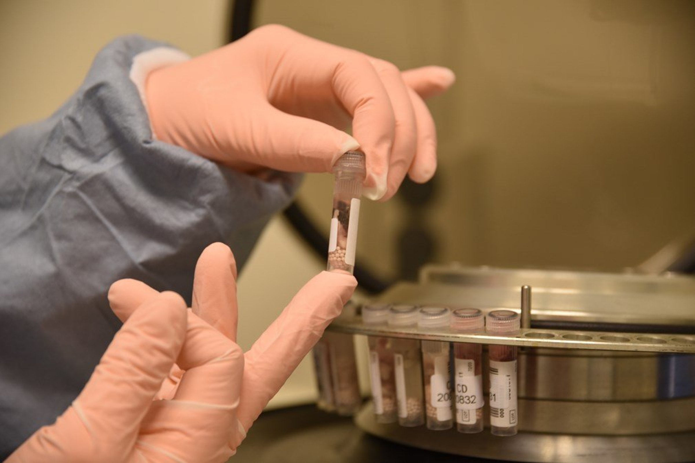 The samples are shaken, to liquify them before they can be properly processed. Credit: Veterinary Institute