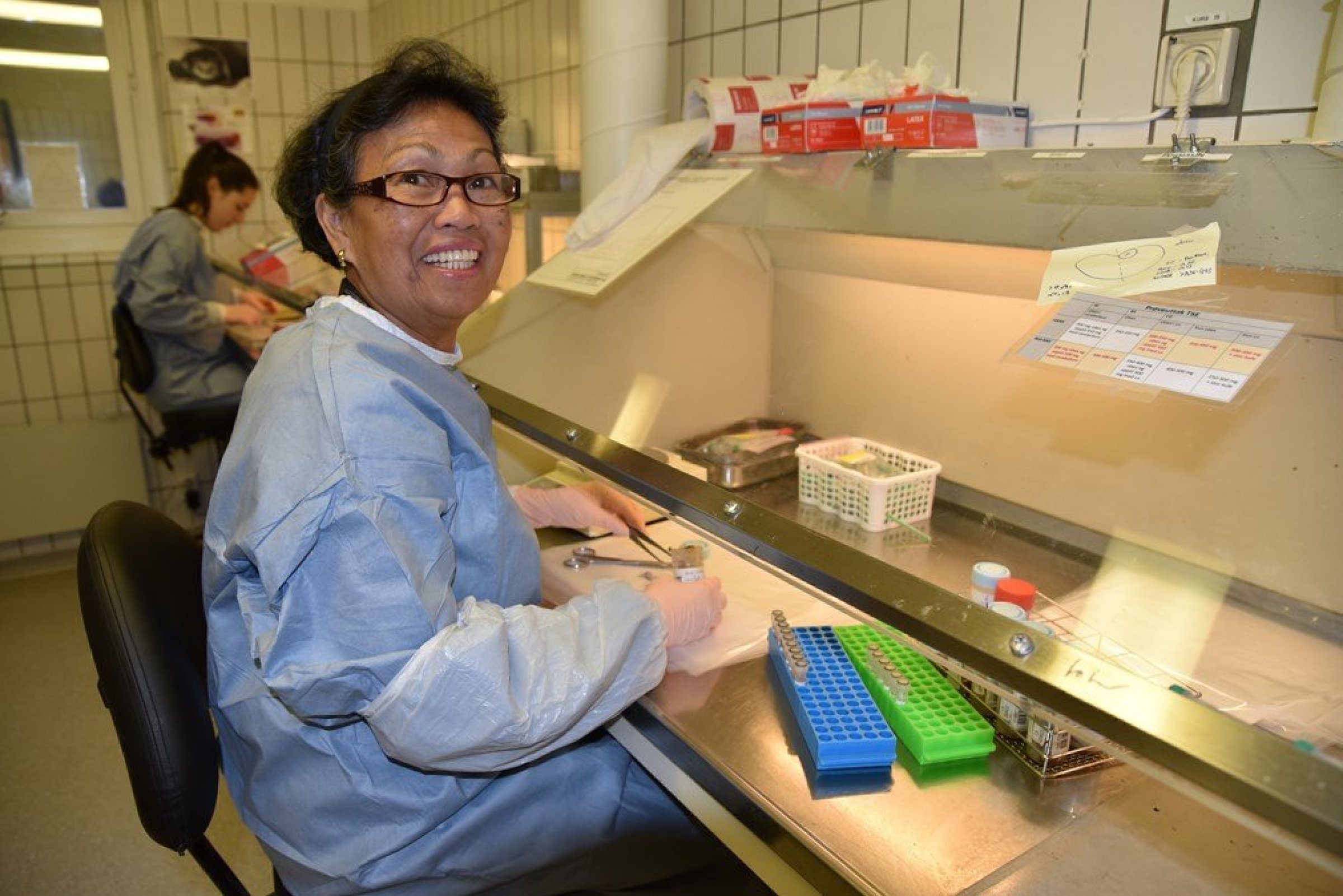 Department engineer Clarita Larsen takes a small part from the sample material that the hunters have submitted. Credit: Veterinary Institute