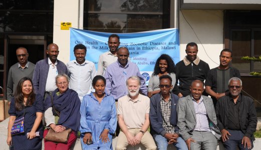 The Norwegian Veterinary Institute contributes to safer milk in Ethiopia