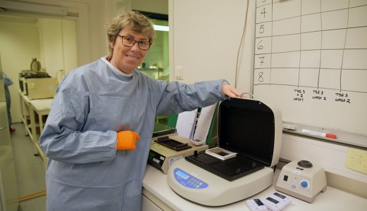 The Norwegian Veterinary Institute receives funding for seven new projects