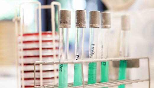 Target to reduce antibiotic use for food-producing animals is reached