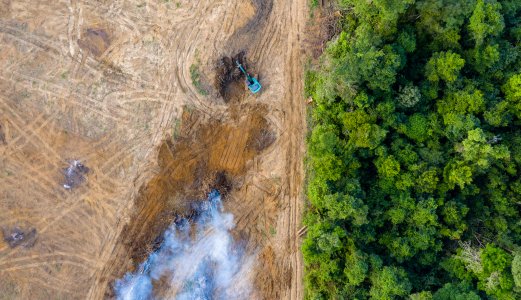 The Norwegian Veterinary Institute has joined as observer the The Intergovernmental Science-Policy Platform on Biodiversity and Ecosystem Services (IPBES)