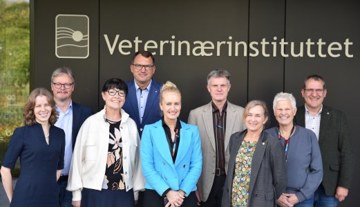The directors of the veterinary institutes in the Nordic and Baltic countries gathered together