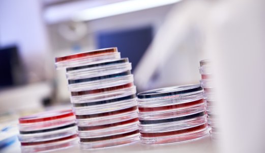15 new research projects