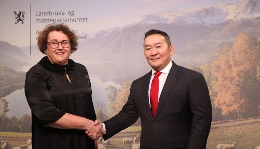 Strengthening the collaboration between Norway and Mongolia