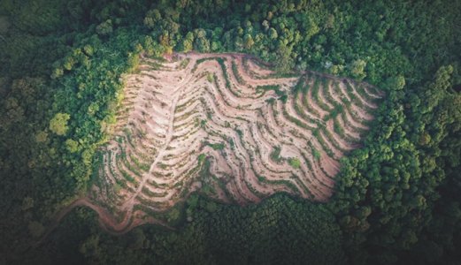 The Norwegian Veterinary Institute contributes to the Intergovernmental Science-Policy Platform on Biodiversity and Ecosystem Services