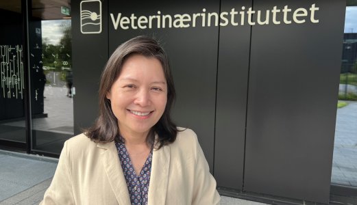 NVI member of WOAH's Aquatic Animal Health Standards Commission