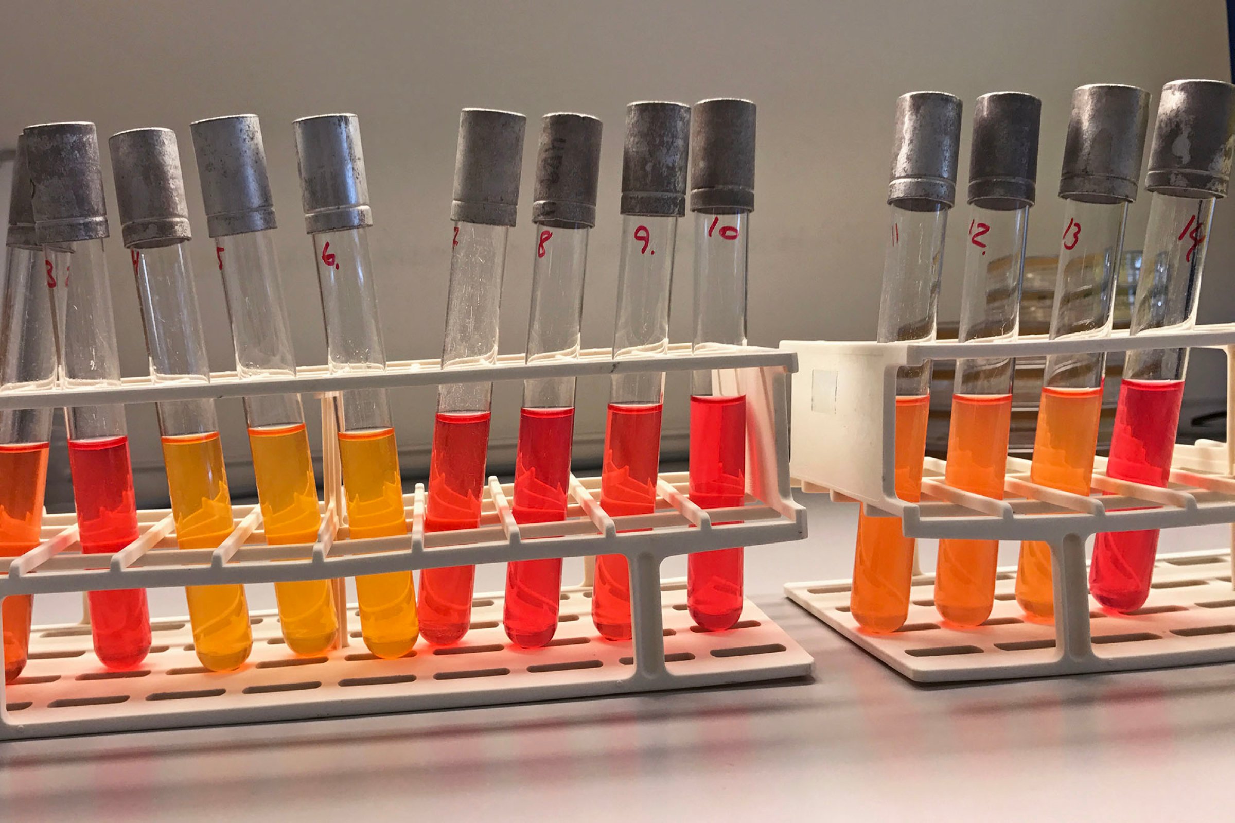 From early development of SensiList. The colour indicates positive and negative samples. The developed kit can not be shown for IPR reasons. Photo: Tone Fagereng