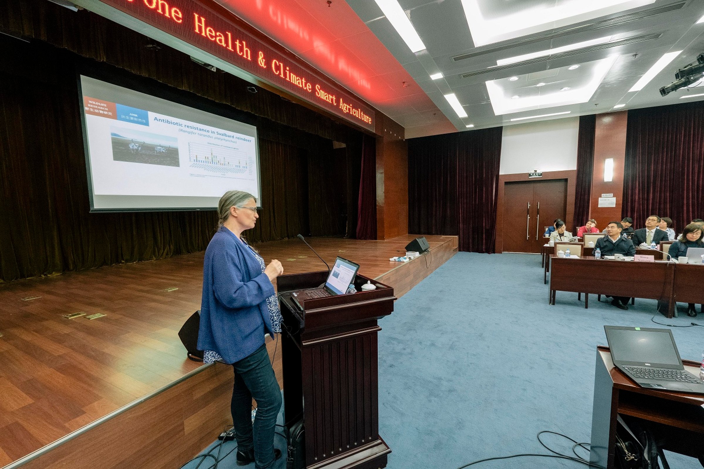 Head of Department Merete Hofshagen at the One Health seminar. Photo: Ragnar Pedersen, NIBIO.
