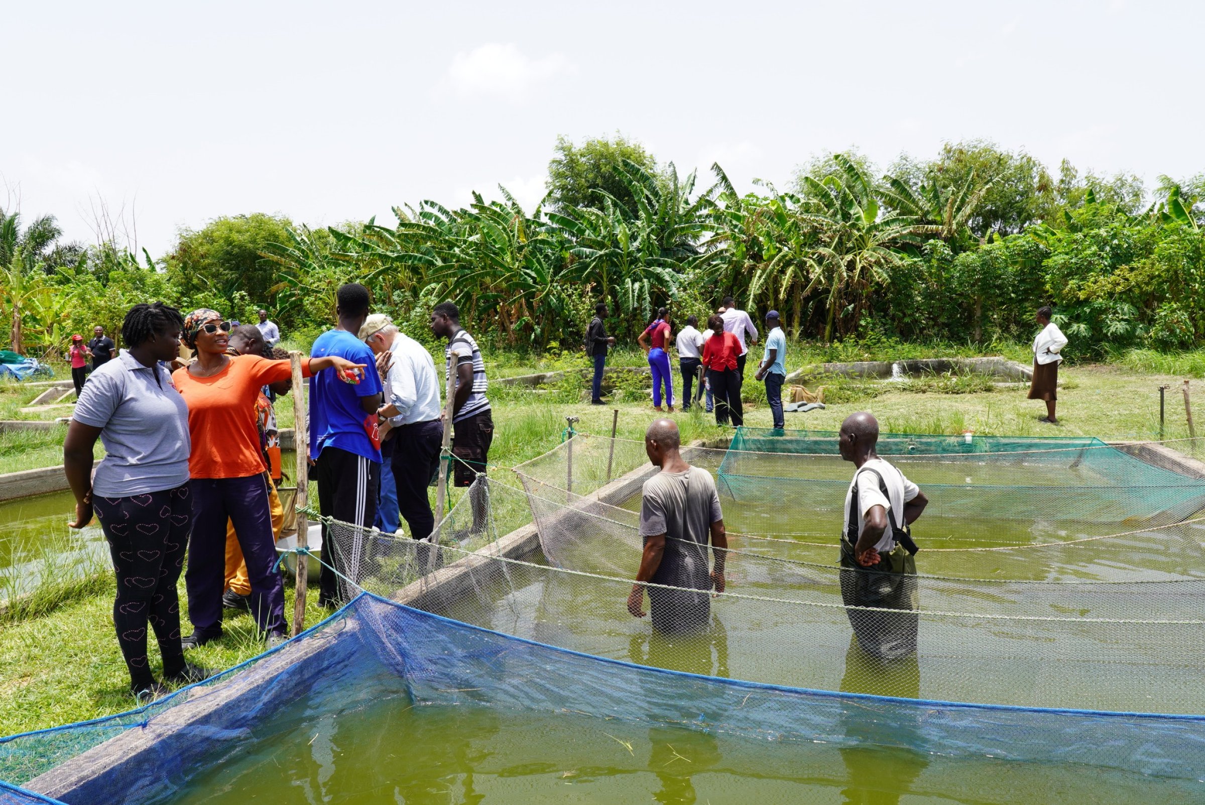 One of the objectives was to improve the research capacity to sustain the aquaculture industry in the region. Photo: Jacob Zornu