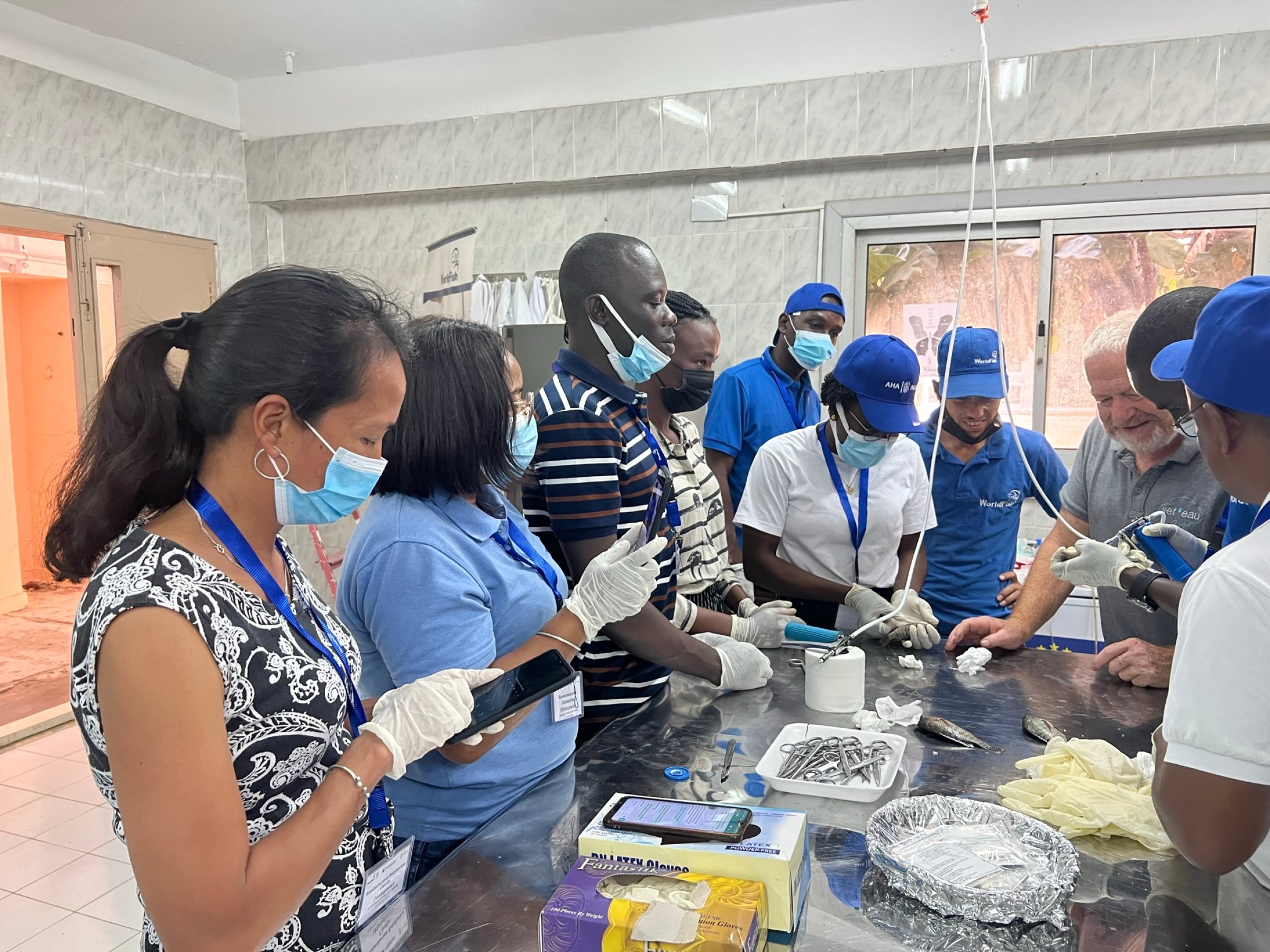 The aim of the training program was to stimulate knowledge acquisition in i.e. sampling techniques, disease diagnostic, biosecurity, vaccination, epidemiology and surveillance, aquaculture production systems. Photo: Jacob Zornu