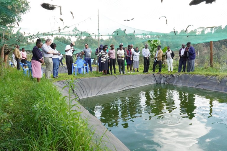 Project participants at a fish farming facility in Kenya.