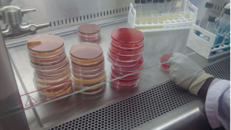From the laboratory training held at the Animal Health Institute (AHI) in Sebeta from 25 June to 4 July 2026. Photo: AHI