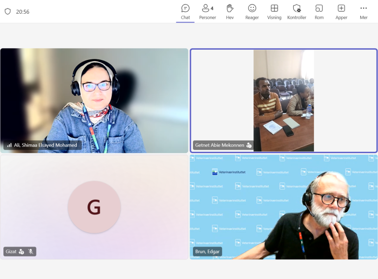 Shimaa Ali and Edgar Brun from the NVI, participated online from Norway. 