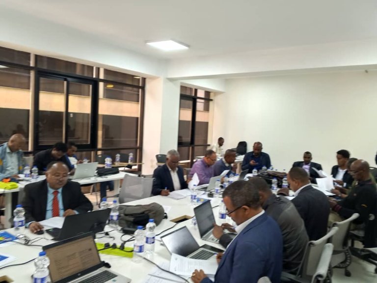 A total of 28 multidisciplinary experts and stakeholders participated in the workshop. Photo: AHRI