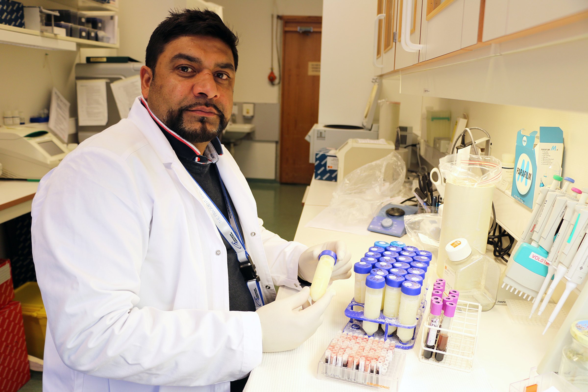 Engineer Faisal Suhel at the Norwegian Veterinary Institute investigates samples of blod and milk for TBE. Photo: Mari M Press