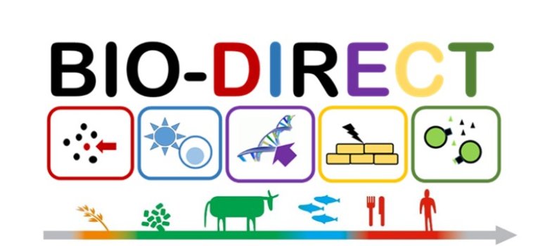 BIO-Direct Logo.jpg