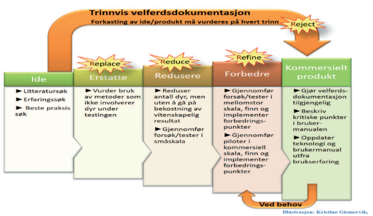 Figur 1. Trinnvis velferdsdokumentasjon fra ide til kommersielt produkt ved implementering av de "3R-ene" (Replace= erstatte, Reduce = redusere, Refine = forbedre) under utvikling av ny teknologi. En fjerde "R": Reject = forkaste er også inkludert. På hvert trinn må det nemlig vurderes om ideen eller teknologien er god nok for videre utprøvinger eller må forkastes av velferdsmessige årsaker. Kjente metoder kan også forkastes når det kommer ny kunnskap eller nye metoder.