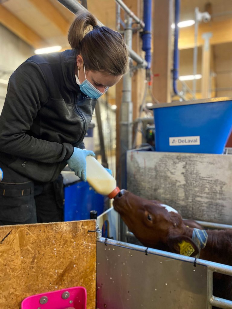 Sabine johanne lærer.jpg