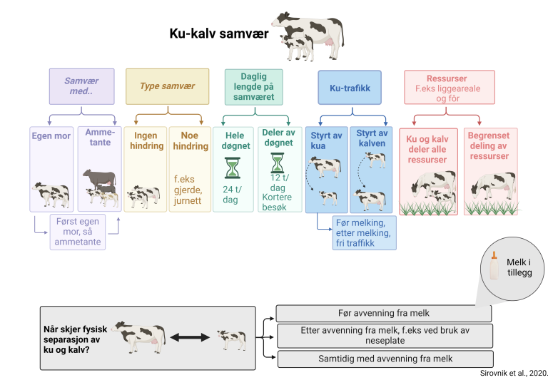 figur forskjellige ccc systemer_1.png