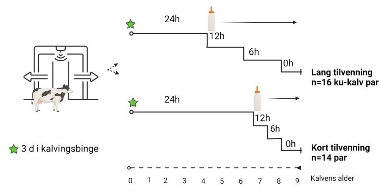 figur separasjon_1.png