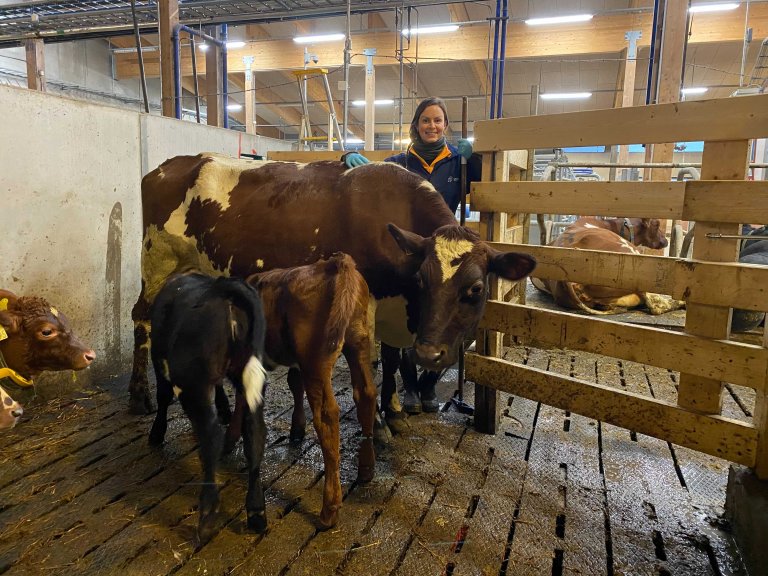 kryssdiing og Johanne Sørby.jpg