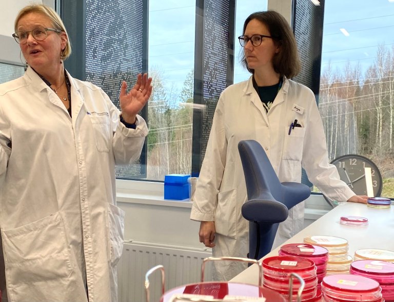 Her blir Norm-VET-prøvane analyserte: Anne Margrete Urdahl og Anja Gahr Langangen på antibiotikaresistens-laboratoriet på Veterinærinstituttet.