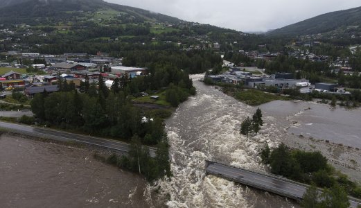Årets flommer gikk hardt utover fôret og beitene til norske dyr