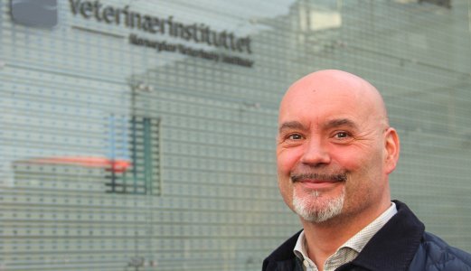 Ny seksjonsleder på Veterinærinstituttet