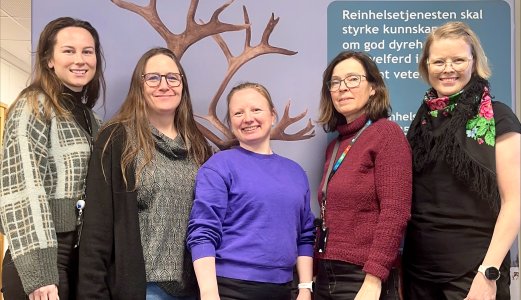 Reinhelsetjenesten får permanent rolle