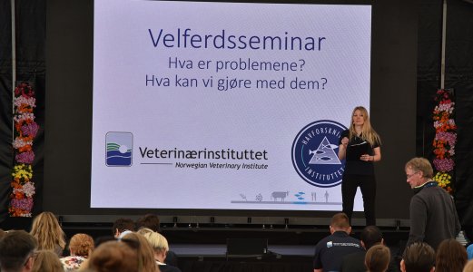 Fiskevelferdsseminar AkvaNor 2019- Hva er problemene?