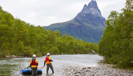 Elvene i Skibotn-regionen er endelig fri for dødelig lakseparasitt