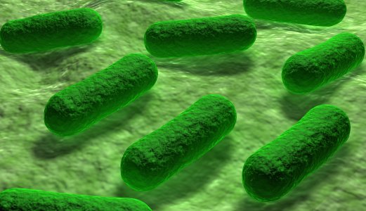Utbrudd av E. coli-infeksjoner (EHEC)