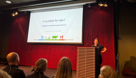 Opptak fra Fiskevelferdsseminaret 23. september 2024