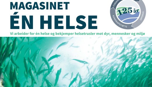 Magasinet Èn helse 