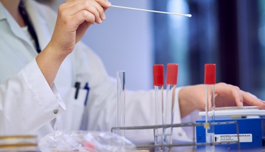 MRSA påvist i slaktegrisbesetning på Haugalandet