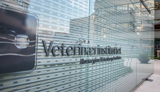 Midlertidig endring for innsending av prøver fra fisk